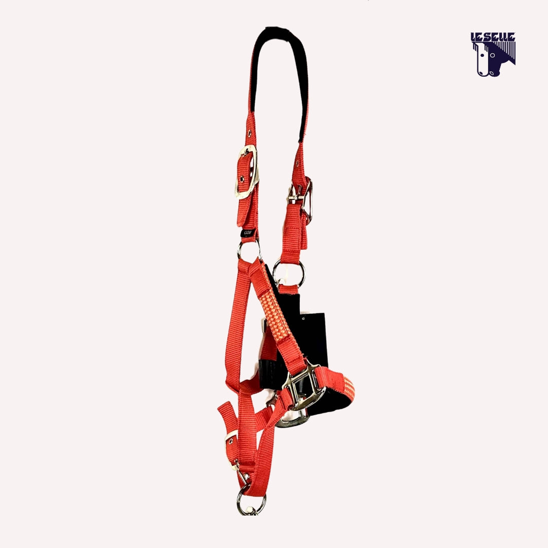 EQUILINE CUATES HALTER AND LEAD - GINGER