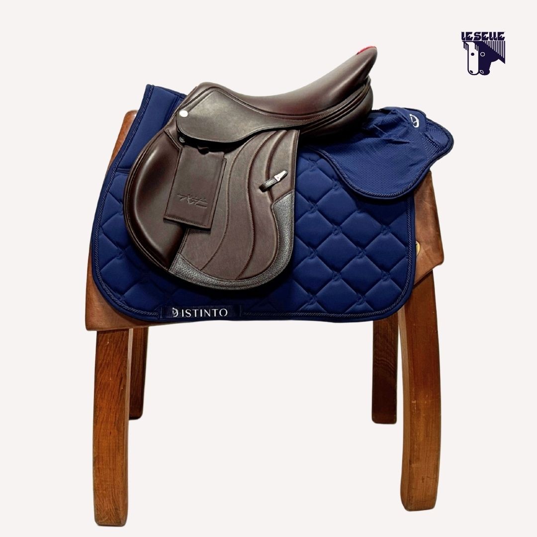 DISTINCTIVE SADDLE PAD AND HOOD