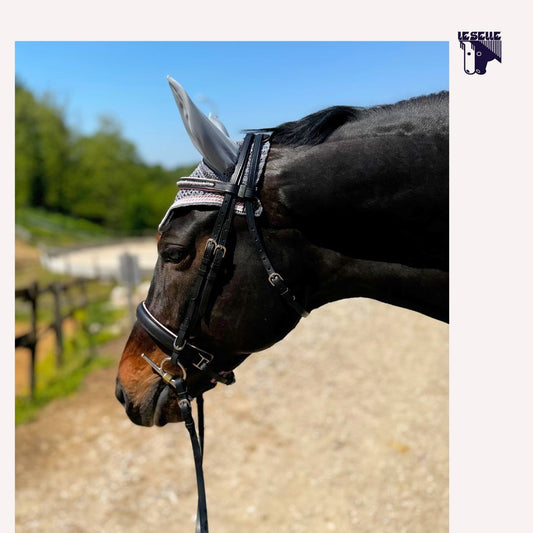 HEADBOARD SELLERIA EQUIPE BLACK - PINK