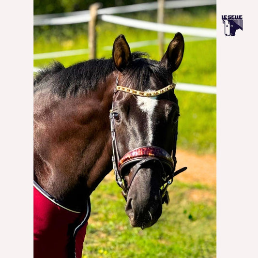 SARM FLEECE BLANKET - BORDEAUX