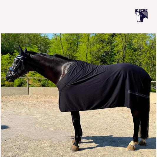 CT LIGHTWEIGHT FLEECE RUG