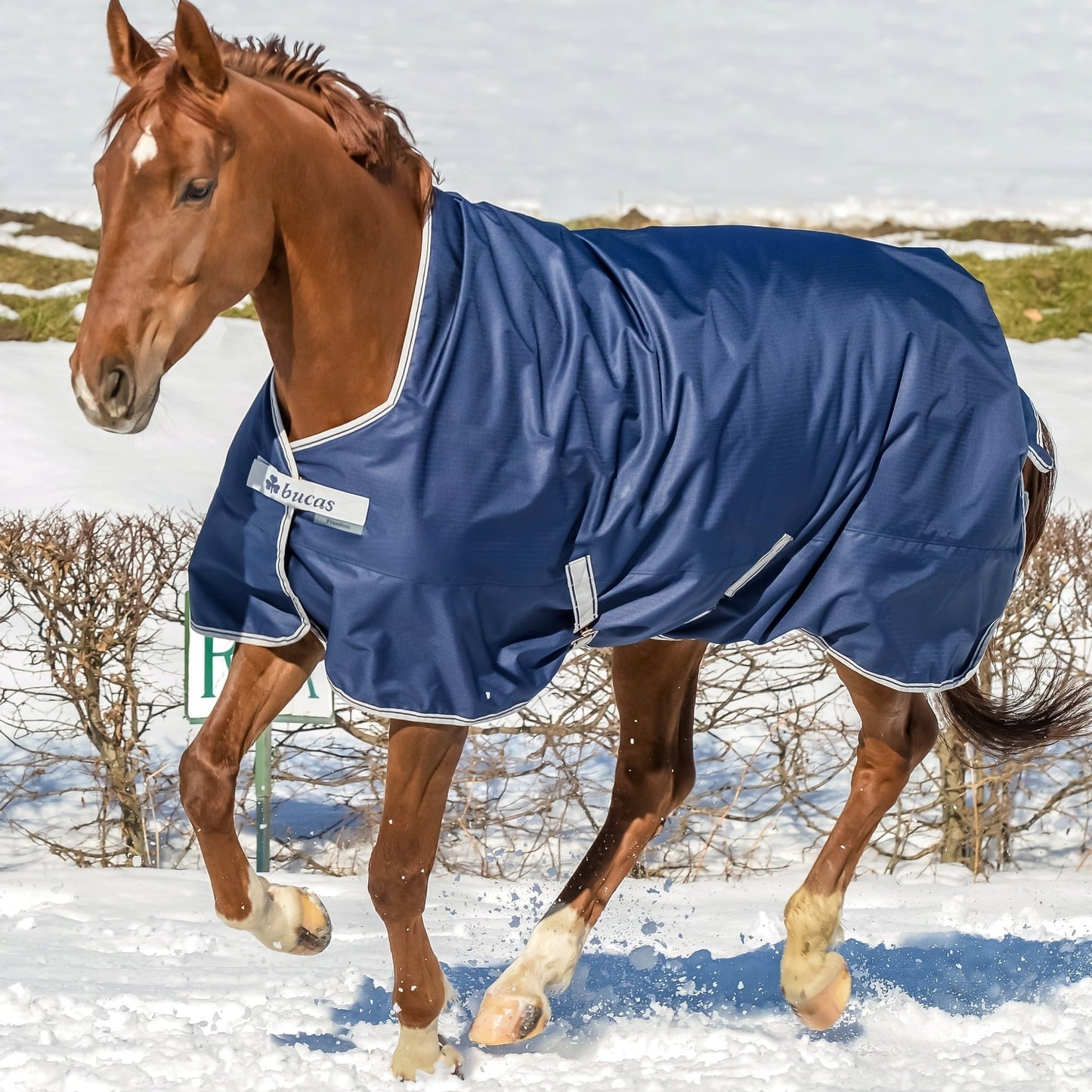 COPERTA BUCAS FREEDOM TURNOUT