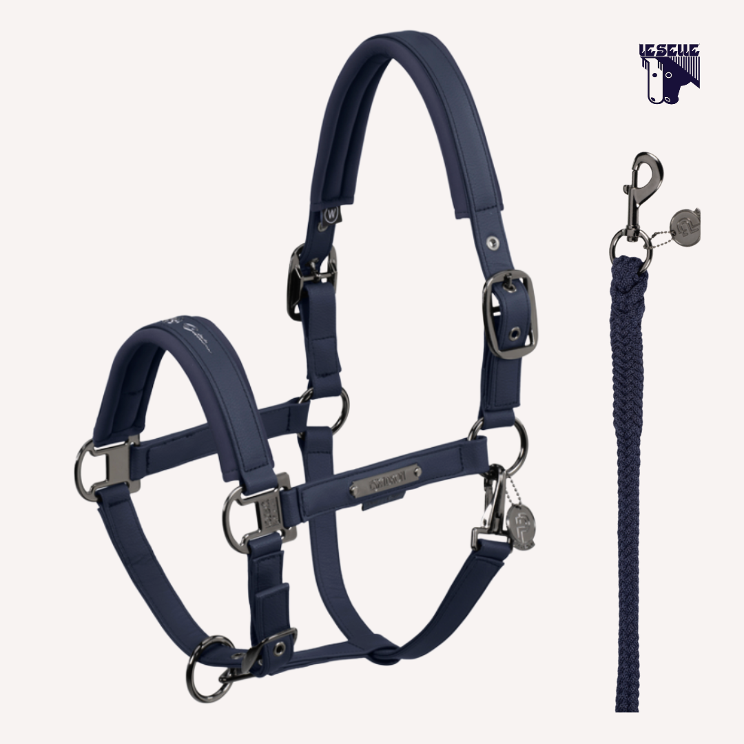 CAVEZZA E LUNGHINA ESKADRON FAUX LEATHER PLATINUM - BLUE