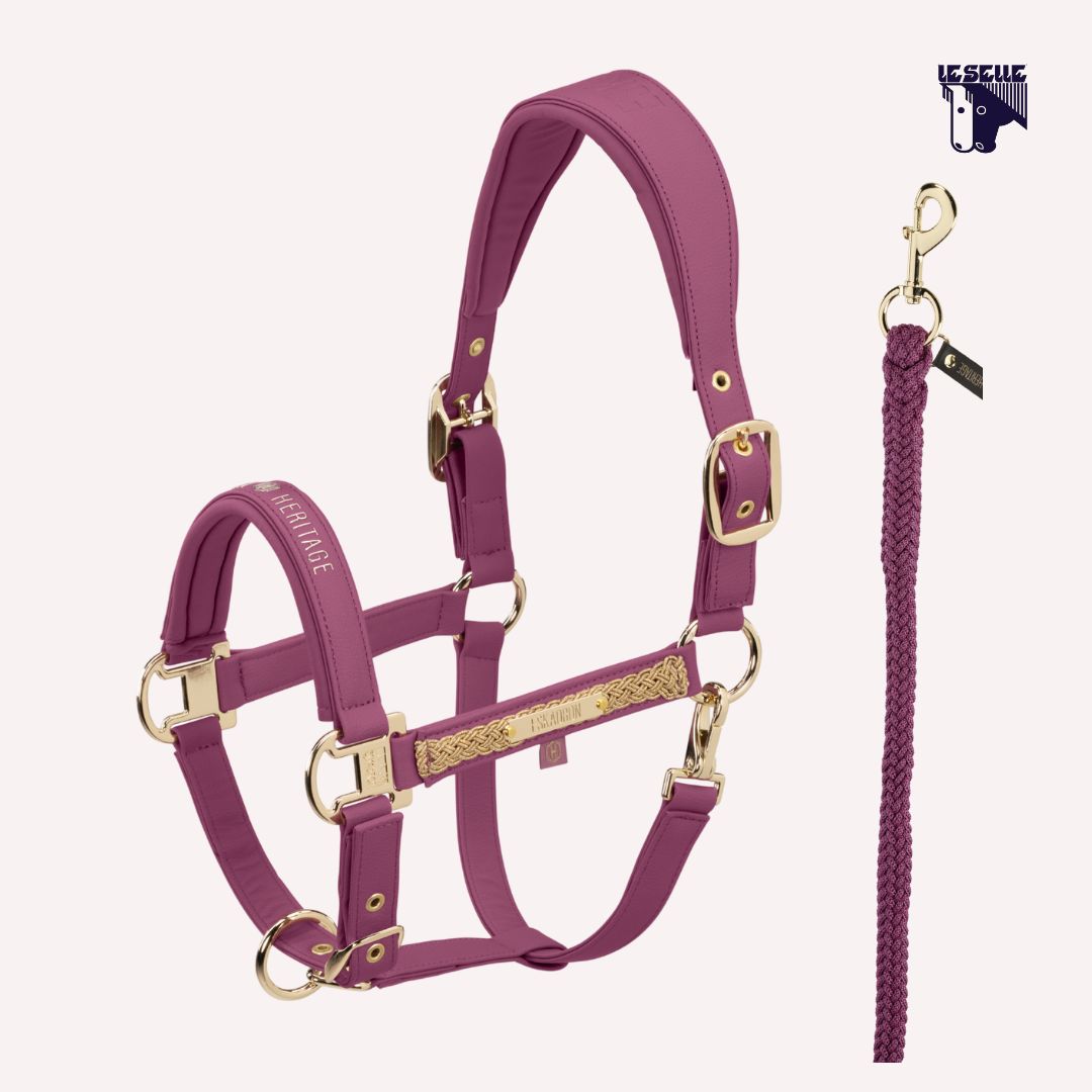 CAVEZZA E LUNGHINA ESKADRON FAUX LEATHER HERITAGE - WILD BERRY