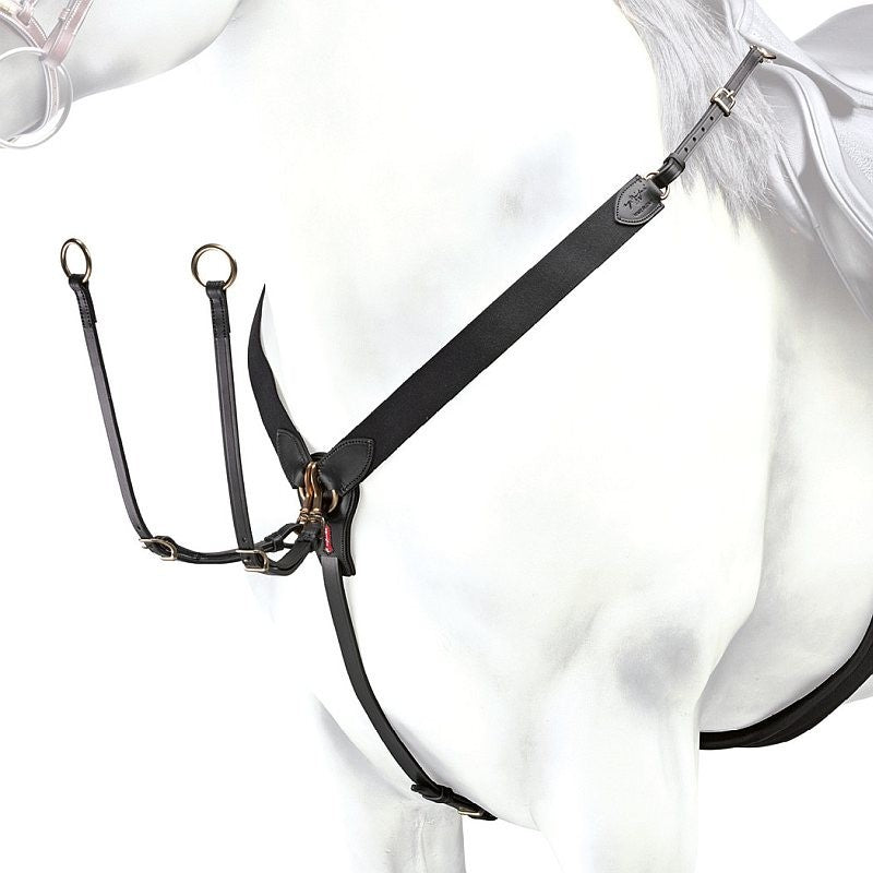 PETTORALE A Y SELLERIA EQUIPE MARRONE