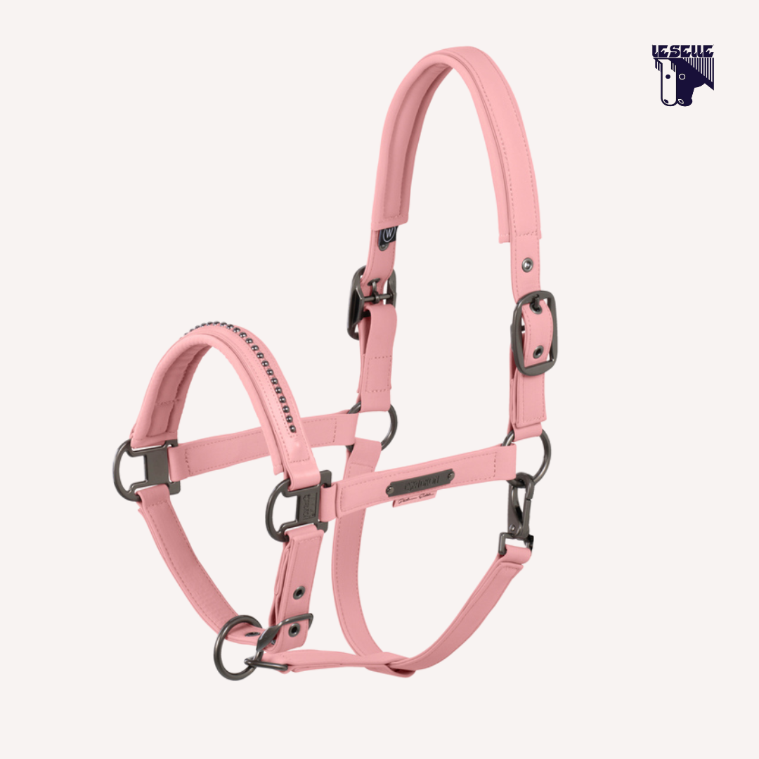 CAVEZZA E LUNGHINA ESKADRON SOFTSHELL PEARL - ROSA