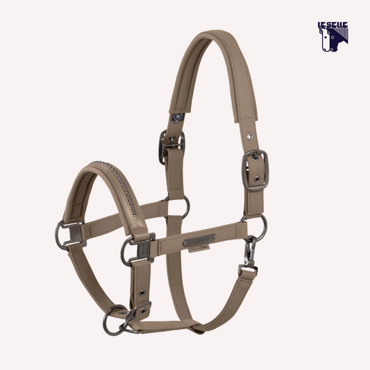 CAVEZZA E LUNGHINA ESKADRON SOFTSHELL PEARL - TAUPE