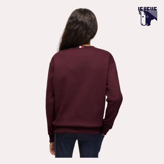 FELPA TOMMY HILFIGER CAMPUS - DEEP BURGUNDY