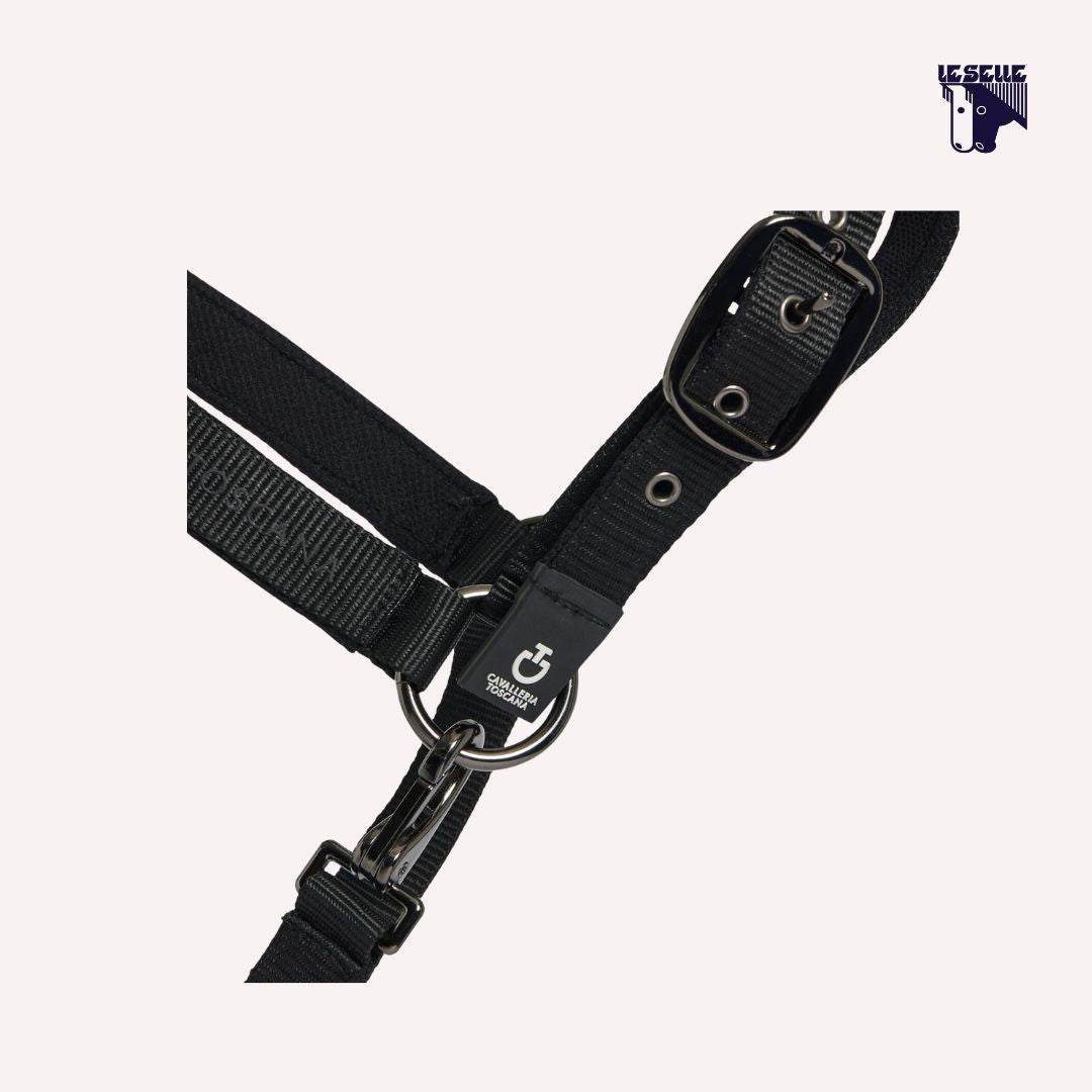 CAVEZZA E LUNGHINA CAVALLERIA TOSCANA