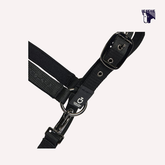 CAVEZZA E LUNGHINA CAVALLERIA TOSCANA