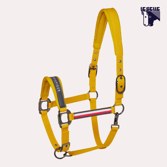 CAVEZZA E LUNGHINA TOMMY HILFIGER YALE - MOSTARDA