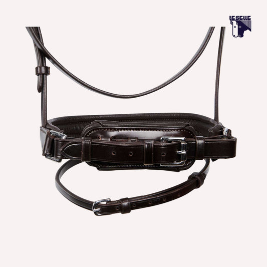 TESTIERA EQUESTRO CRANK - MARRONE