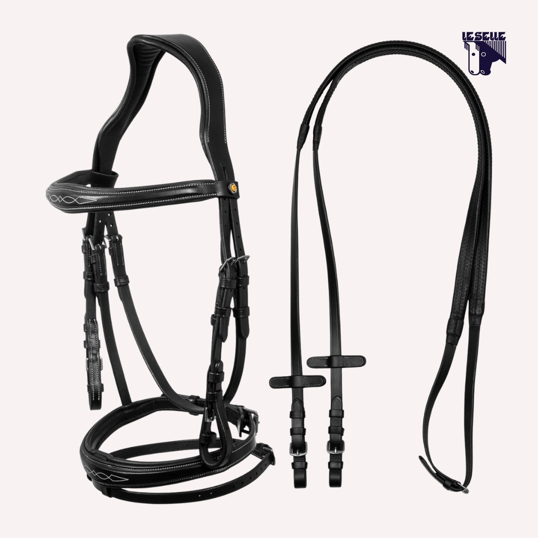 TESTIERA EQUESTRO RICAMI - NERO