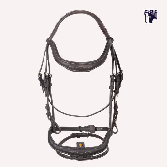 TESTIERA EQUESTRO ANATOMICA E RICAMI - MARRONE