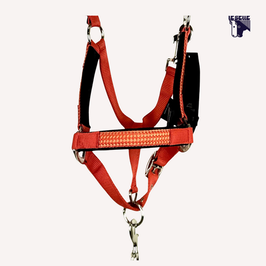 EQUILINE CUATES HALTER AND LEAD - GINGER