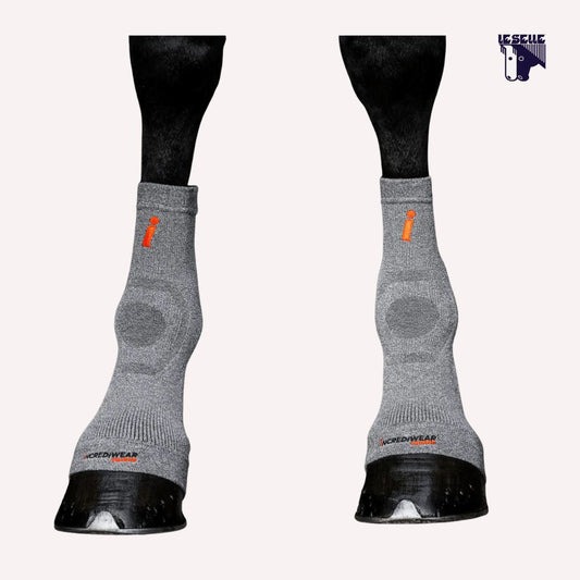 CIRCULATION HOOF SOCKS INCREDIWEAR EQUINE - GRIGIO