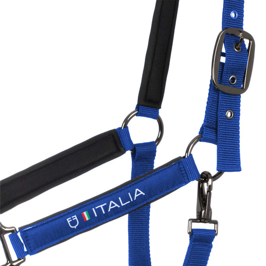 CAVEZZA E LUNGHINA EQUESTRO X FISE - ROYAL