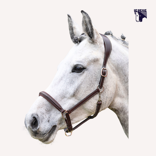 CAVEZZA IN CUOIO EQUILINE - MARRONE