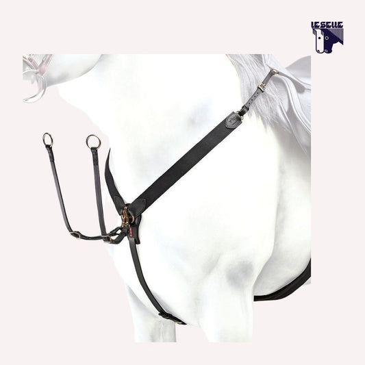 PETTORALE A Y SELLERIA EQUIPE - NERO