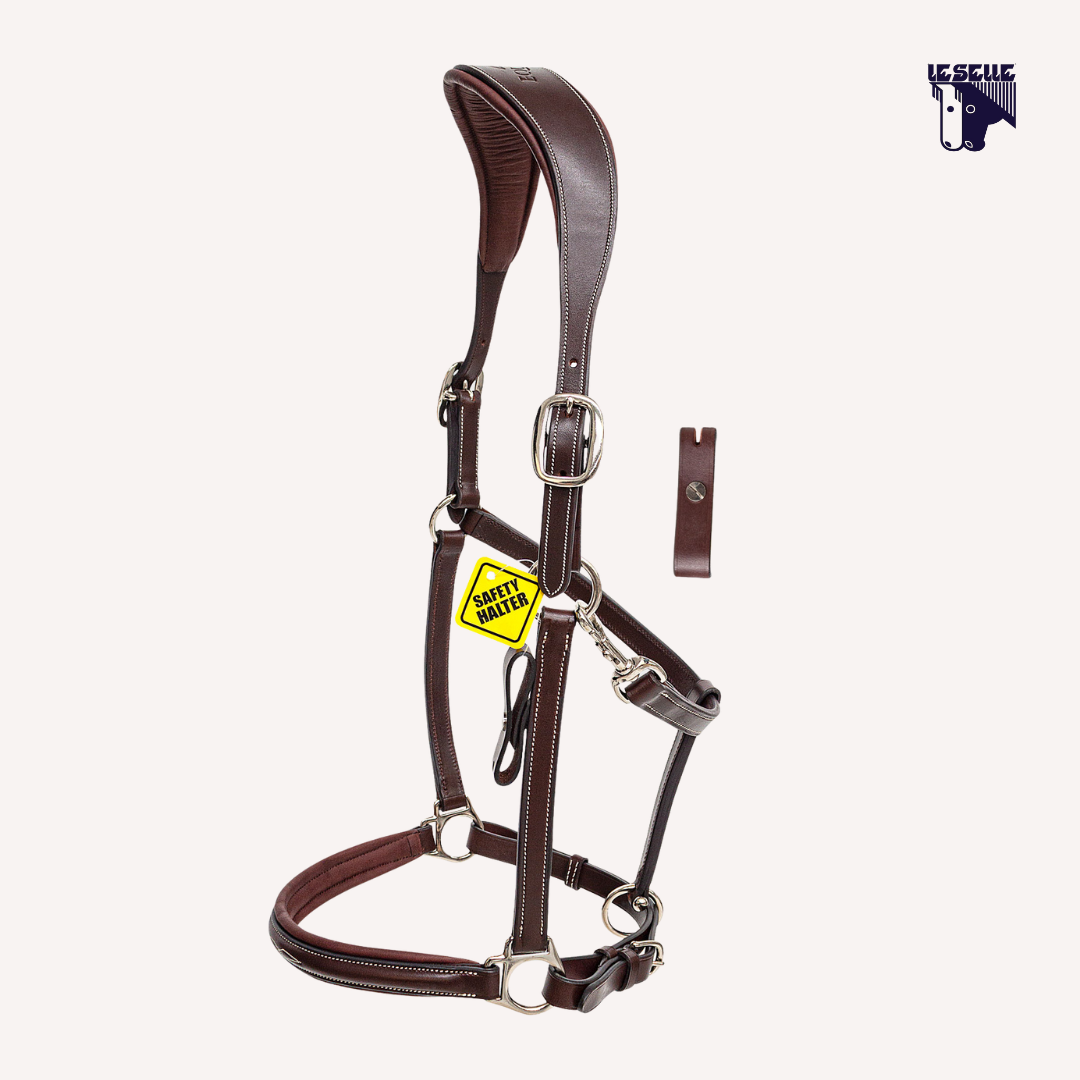CAVEZZA IN CUOIO EQUILINE - MARRONE