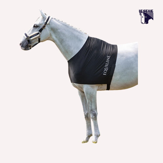 SOTTO COPERTA LYCRA EDINBURGH EQUILINE - NERO