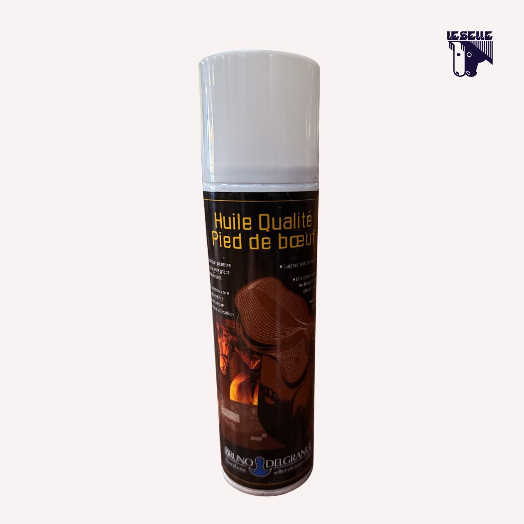 OIL CAN 250 ML BRUNO DELGRANGE