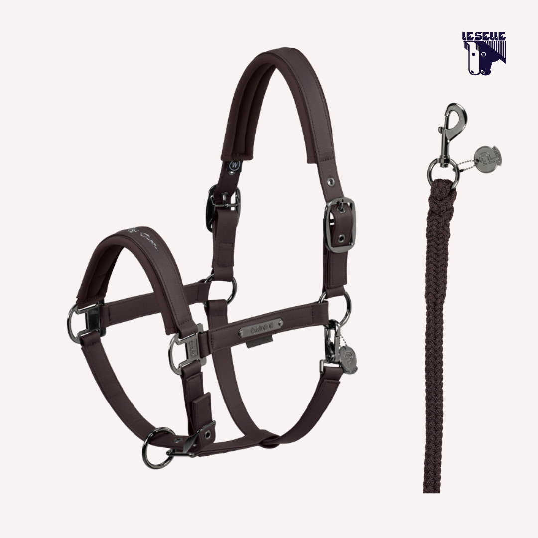 CAVEZZA E LUNGHINA ESKADRON FAUX LEATHER PLATINUM - MARRONE