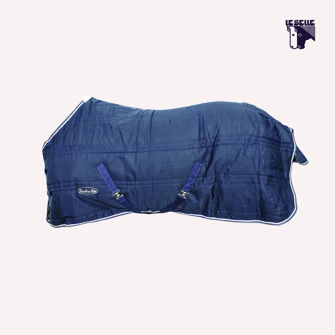 COPERTA BOX 250GR MODELLO MOLDE UMBRIA EQUITAZIONE - BLU