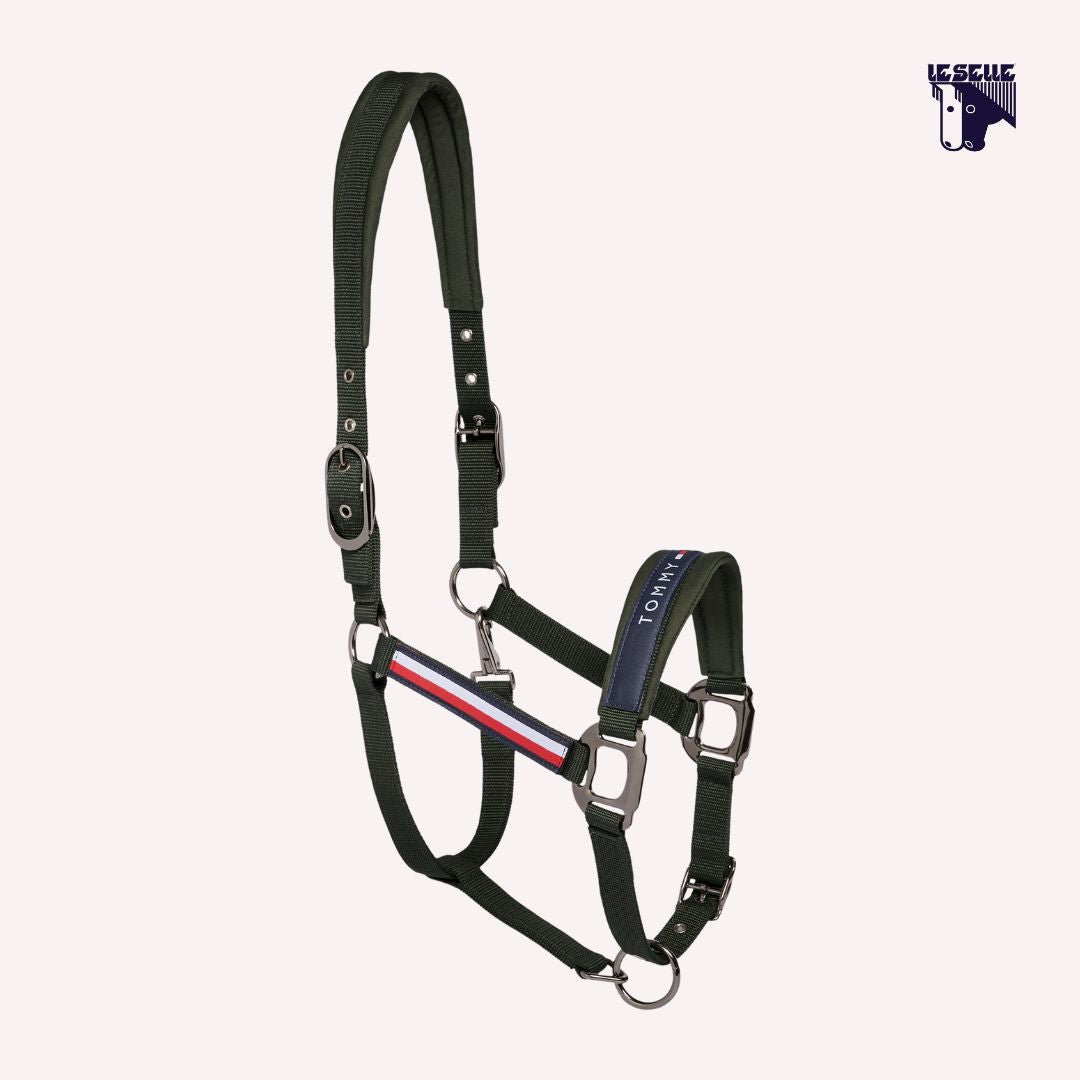 CAVEZZA E LUNGHINA TOMMY HILFIGER YALE - PINE