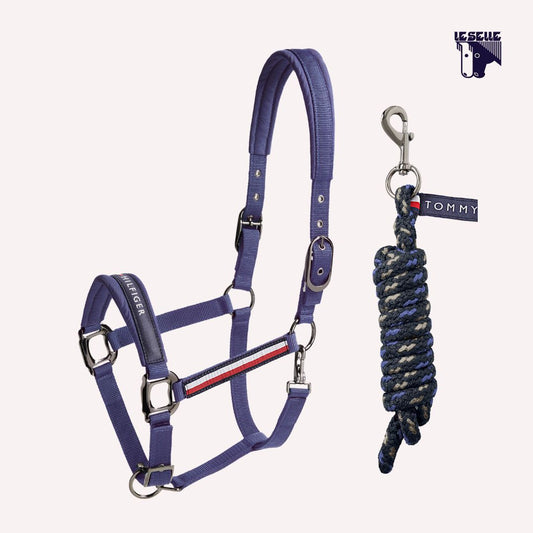 CAVEZZA E LUNGHINA TOMMY HILFIGER YALE - INDACO