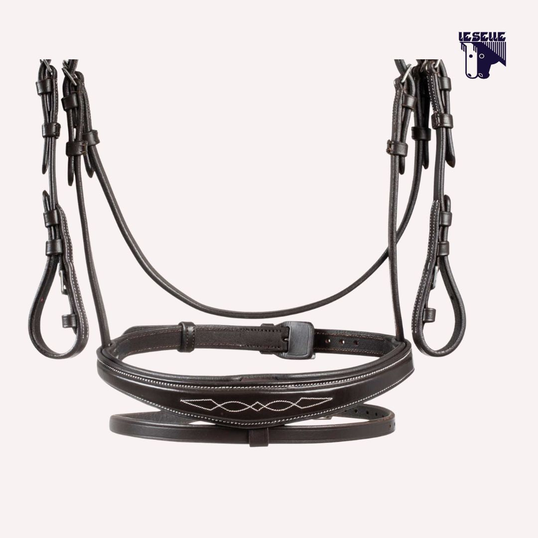 TESTIERA EQUESTRO RICAMI - MARRONE