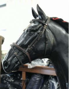 Umbria Equitazione bridle with reins
