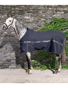 OUTDOOR HORSE RUG EQUILINE CLINT 200GR.