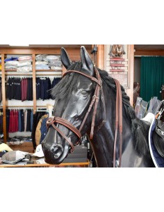 BRIDLE EQUILINE WITH TUBULAR BROWBAND
