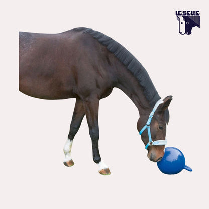 PALLA GONFIABILE UMBRIA EQUITAZIONE - BLU