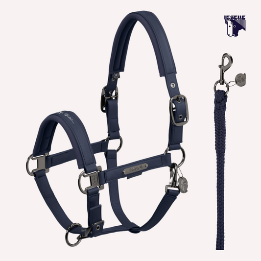 CAVEZZA E LUNGHINA ESKADRON FAUX LEATHER PLATINUM - BLUE