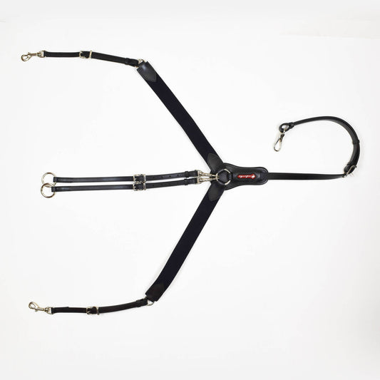 PETTORALE A Y SELLERIA EQUIPE NERO