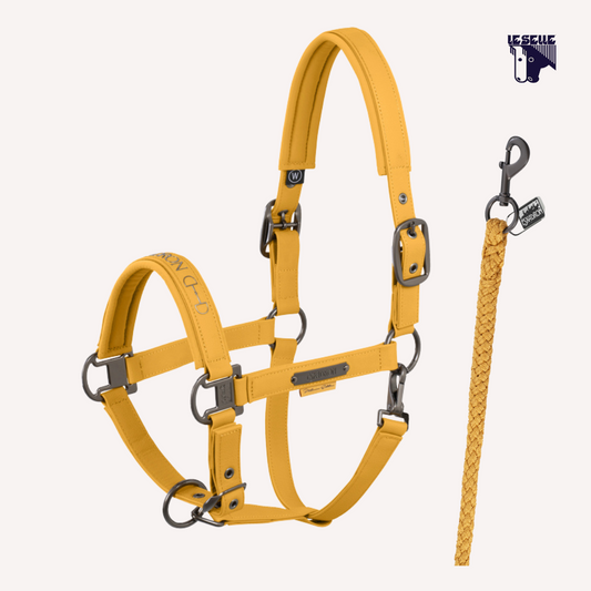 CAVEZZA E LUNGHINA ESKADRON FAUX LEATHER - OCRA