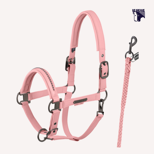 CAVEZZA E LUNGHINA ESKADRON SOFTSHELL PEARL - ROSA