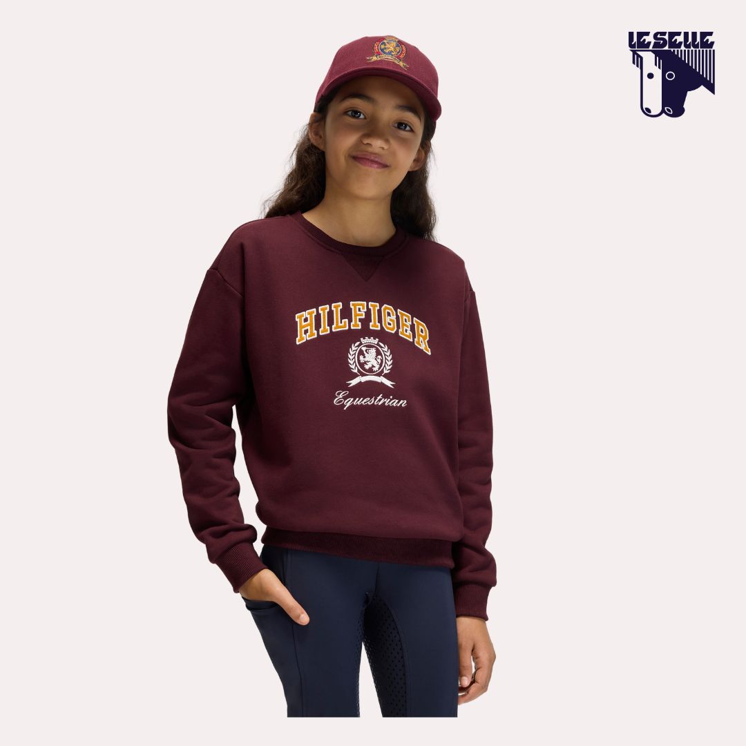 FELPA TOMMY HILFIGER CAMPUS - DEEP BURGUNDY