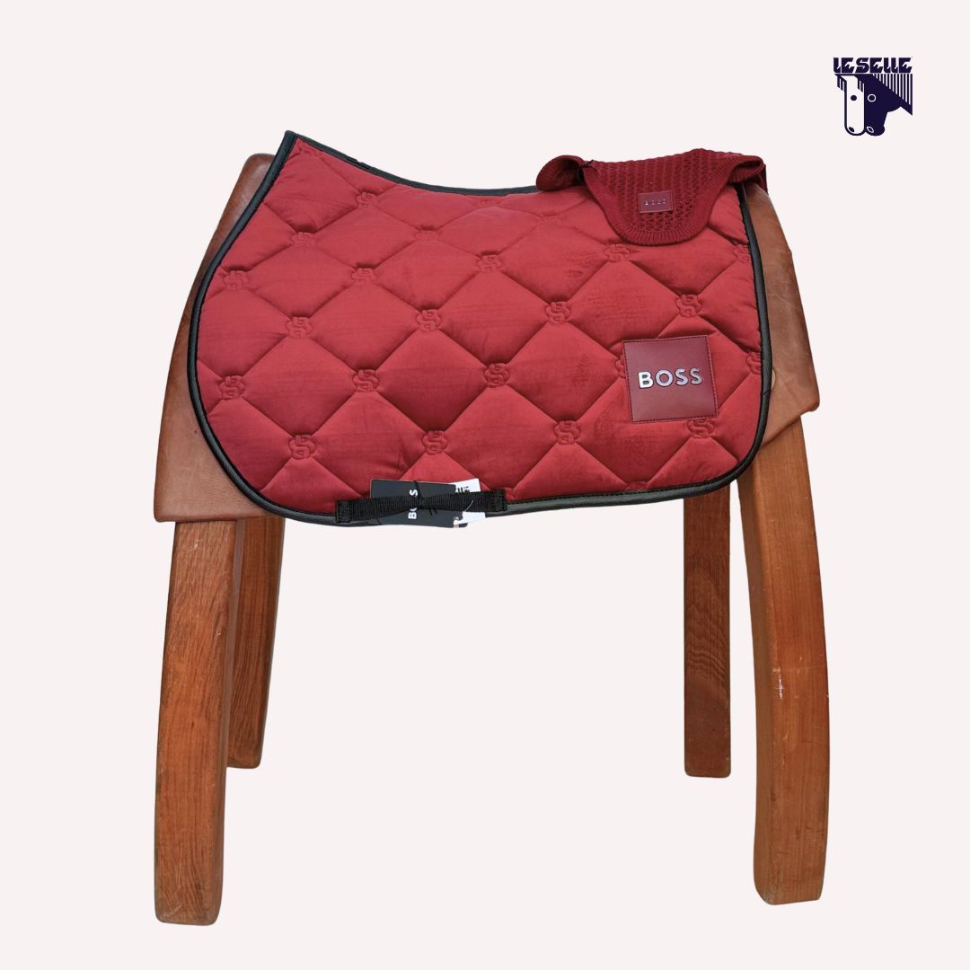 SET SOTTOSELLA E CUFFIETTA BOSS - BORDEAUX