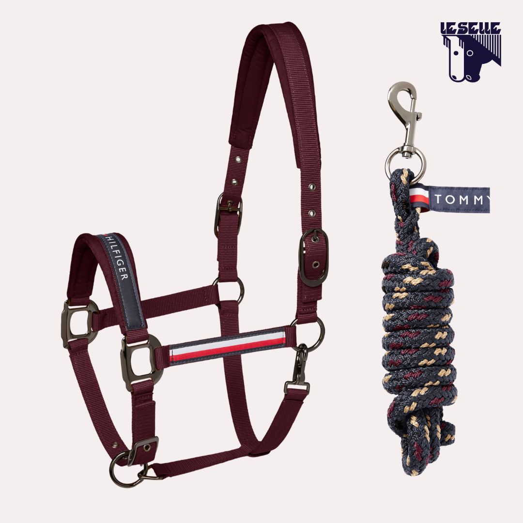 CAVEZZA E LUNGHINA TOMMY HILFIGER YALE - DEEP BURGUNDY