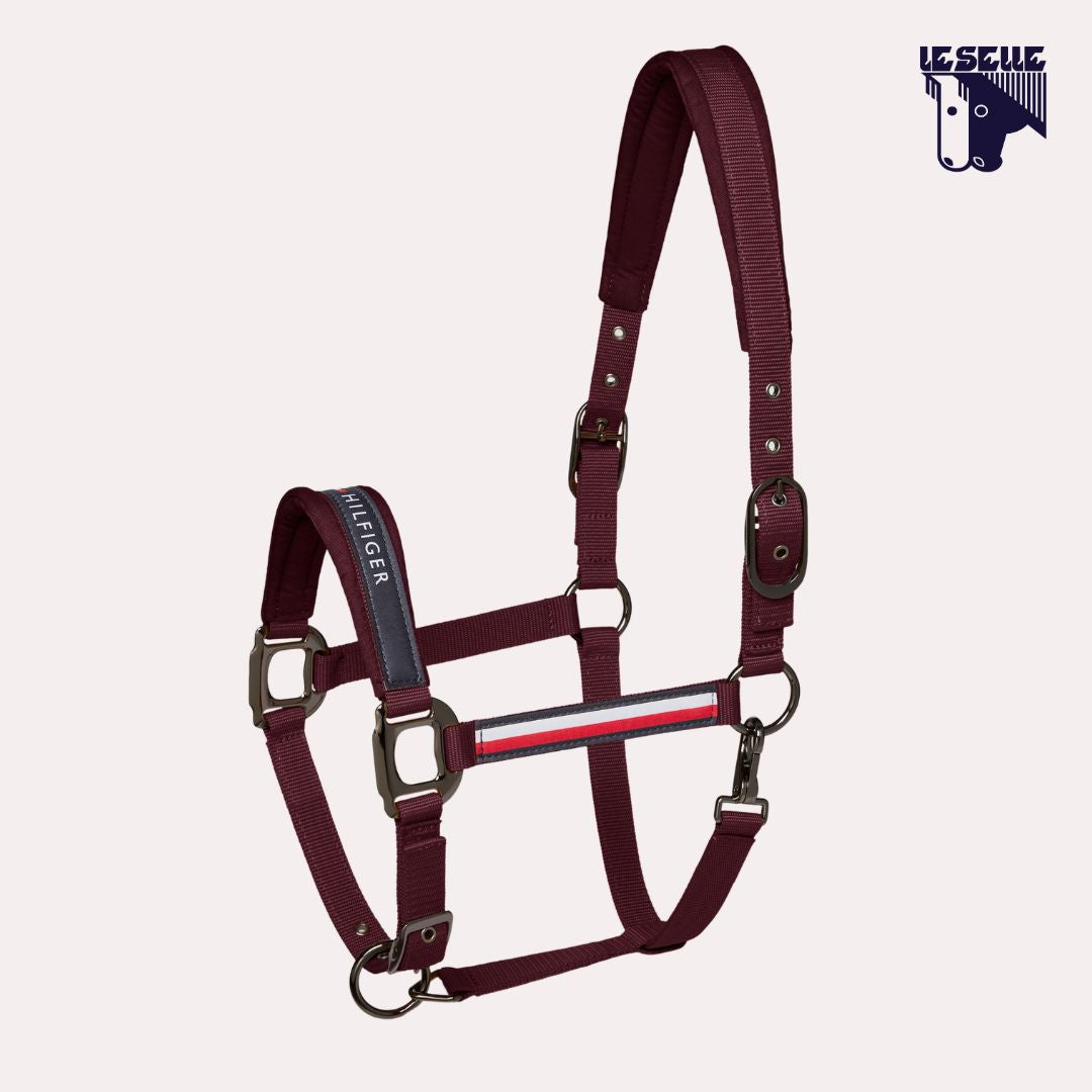 CAVEZZA E LUNGHINA TOMMY HILFIGER YALE - DEEP BURGUNDY