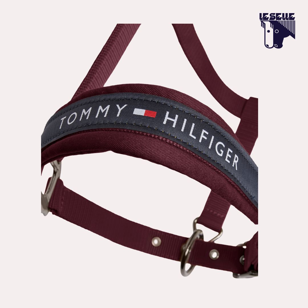 CAVEZZA E LUNGHINA TOMMY HILFIGER YALE - DEEP BURGUNDY