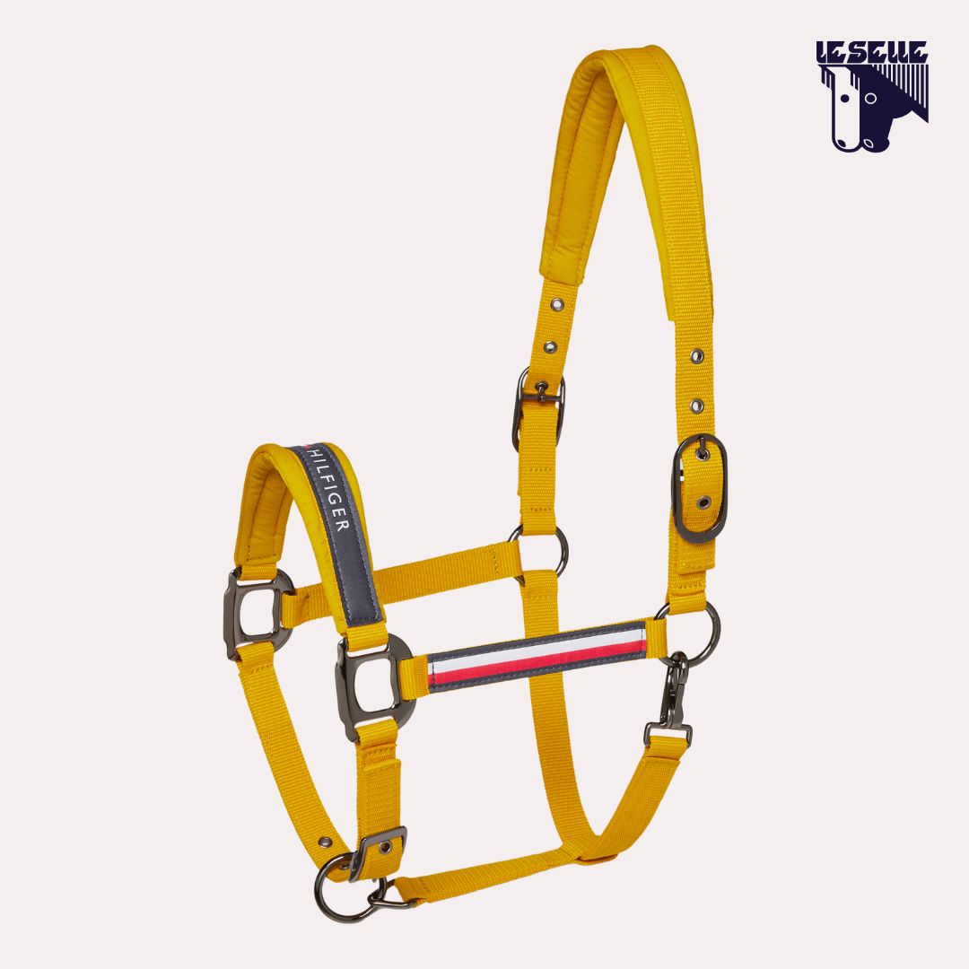 CAVEZZA E LUNGHINA TOMMY HILFIGER YALE - MOSTARDA