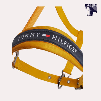 CAVEZZA E LUNGHINA TOMMY HILFIGER YALE - MOSTARDA