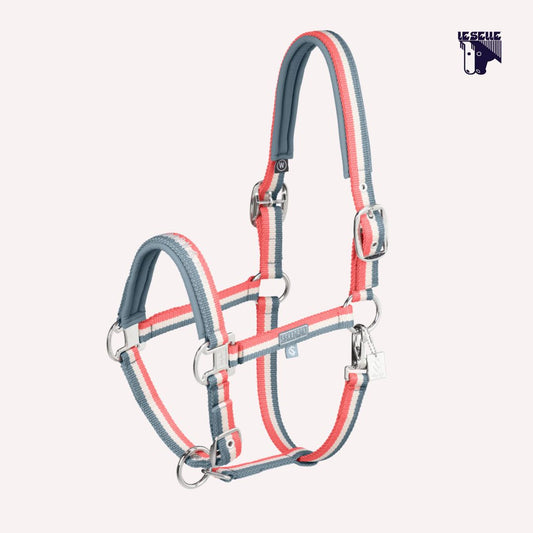 CAVEZZA ESKADRON DOUBLE PIN - PONY