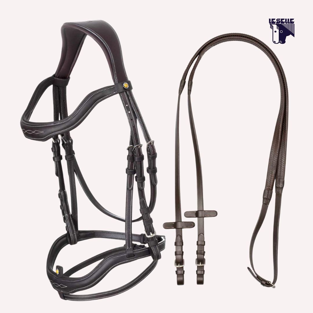 TESTIERA EQUESTRO ANATOMICA E RICAMI - MARRONE