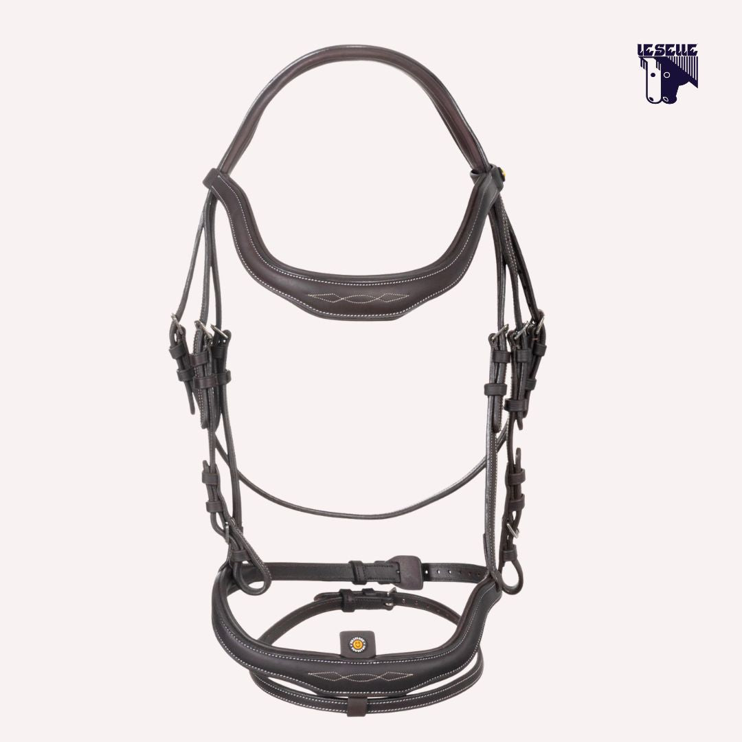 TESTIERA EQUESTRO ANATOMICA E RICAMI - MARRONE