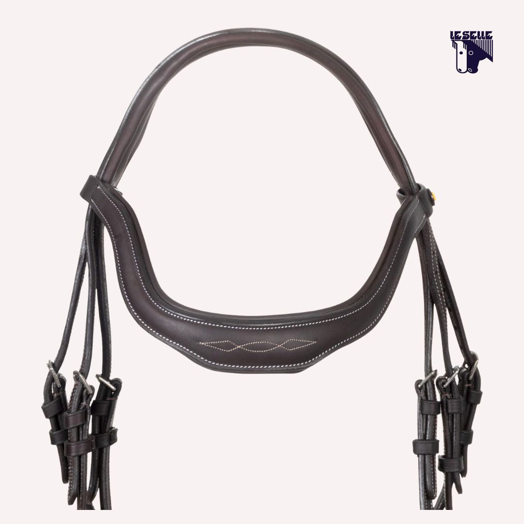 TESTIERA EQUESTRO ANATOMICA E RICAMI - MARRONE